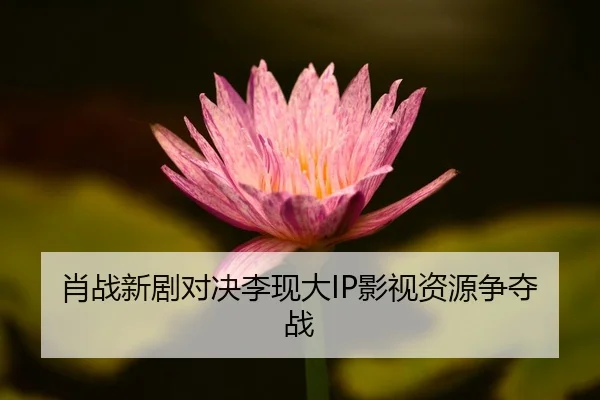 xiao-zhan-xin-ju-dui-jue-li-xian-da-ying-shi-zi-yuan-zheng-duo-zhan-2-531.jpg